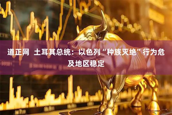 道正网  土耳其总统：以色列“种族灭绝”行为危及地区稳定