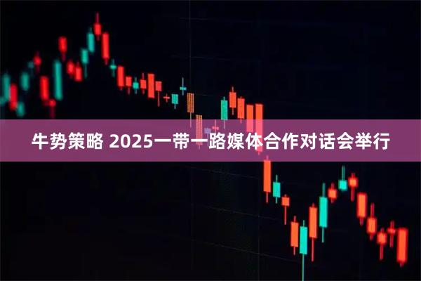 牛势策略 2025一带一路媒体合作对话会举行