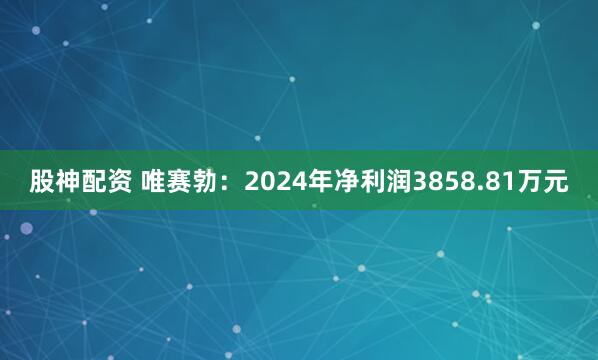 股神配资 唯赛勃：2024年净利润3858.81万元
