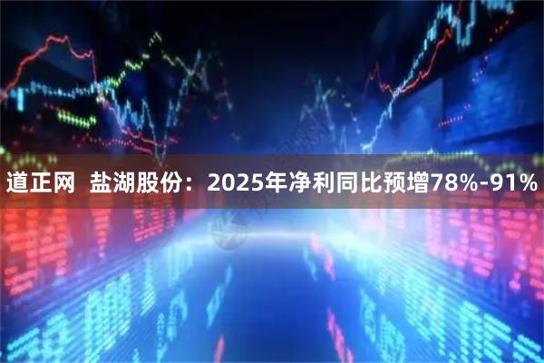 道正网  盐湖股份：2025年净利同比预增78%-91%